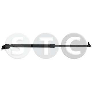 Dujinė spyruoklė, bagažinė STC T446381