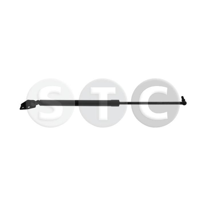 Dujinė spyruoklė, bagažinė STC T446381