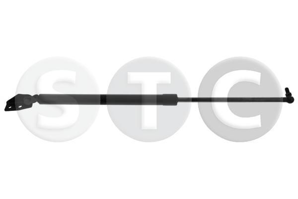 Dujinė spyruoklė, bagažinė STC T446381