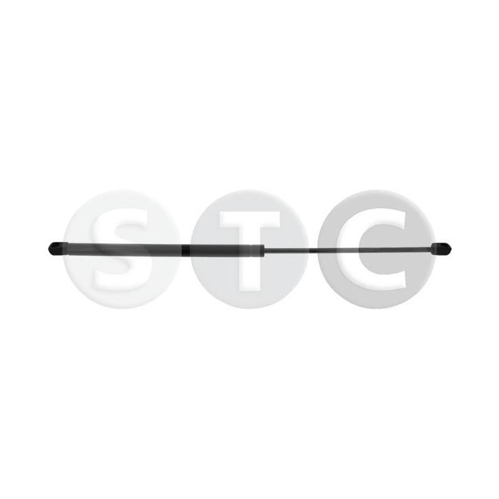 Dujinė spyruoklė, bagažinė STC T446420