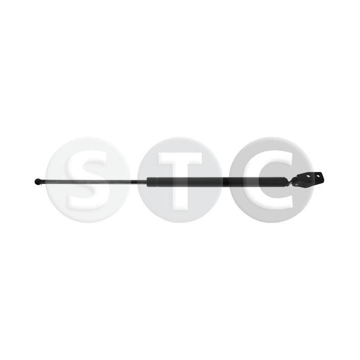 Dujinė spyruoklė, bagažinė STC T446441