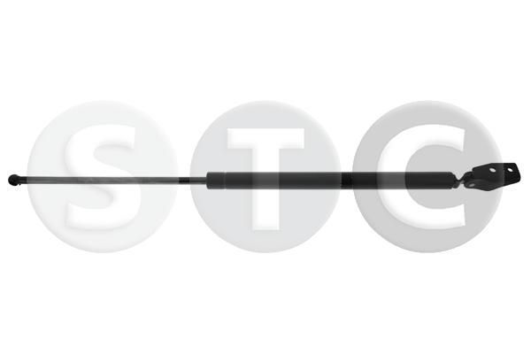 Dujinė spyruoklė, bagažinė STC T446441