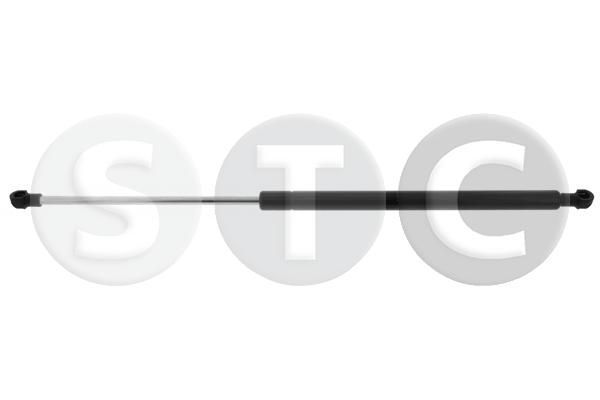 Dujinė spyruoklė, bagažinė STC T446473