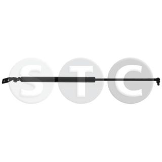 Dujinė spyruoklė, bagažinė STC T446475