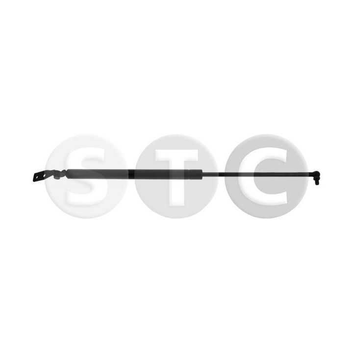 Dujinė spyruoklė, bagažinė STC T446475