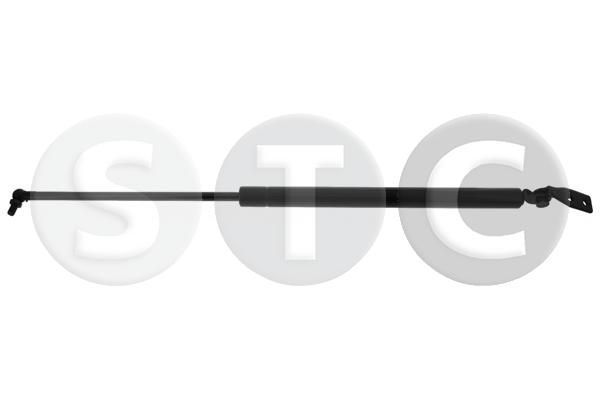 Dujinė spyruoklė, bagažinė STC T446512