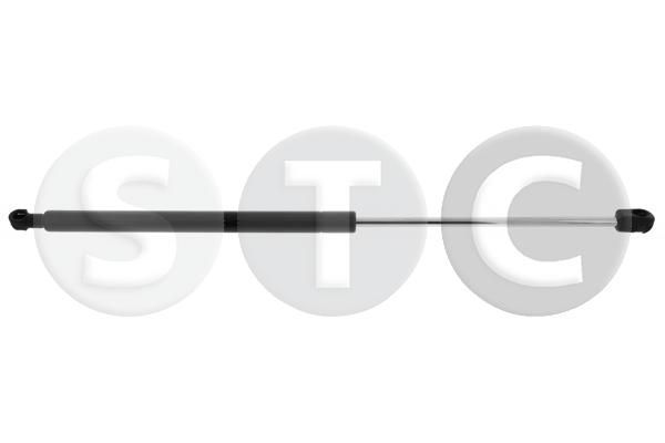 Dujinė spyruoklė, bagažinė STC T446619