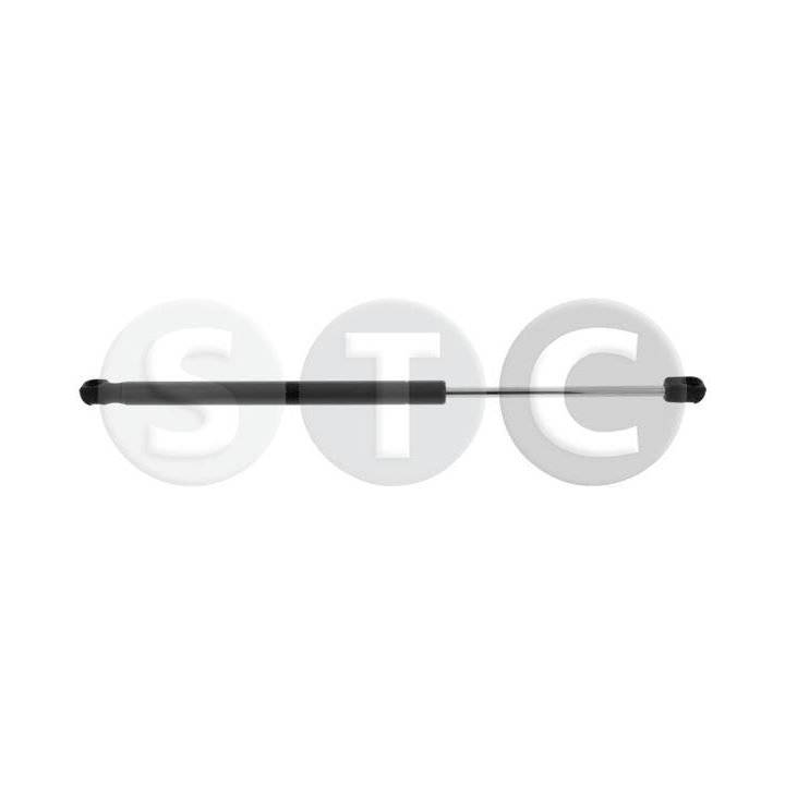 Dujinė spyruoklė, bagažinė STC T446732