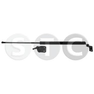 Dujinė spyruoklė, bagažinė STC T446799