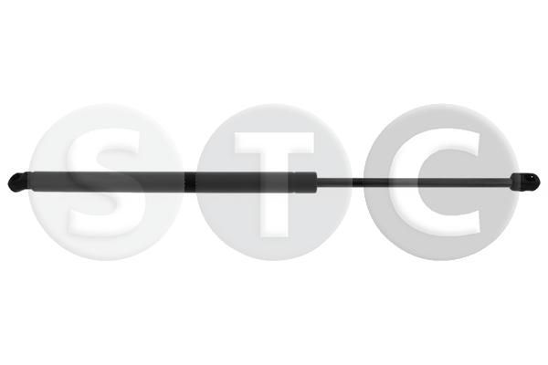 Dujinė spyruoklė, bagažinė STC T446826