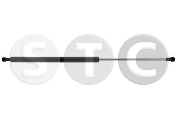 Dujinė spyruoklė, bagažinė STC T446833