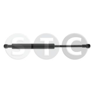 Dujinė spyruoklė, bagažinė STC T446848