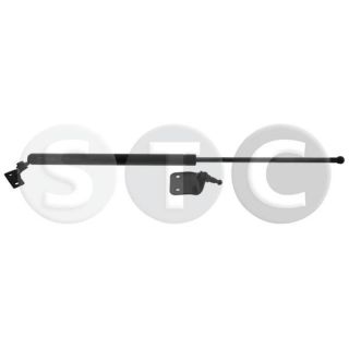 Dujinė spyruoklė, bagažinė STC T446850