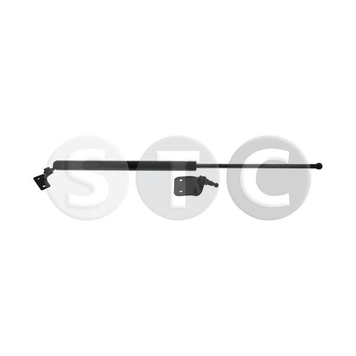 Dujinė spyruoklė, bagažinė STC T446850