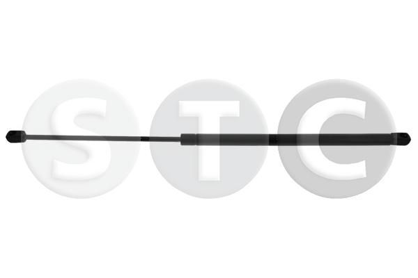 Dujinė spyruoklė, bagažinė STC T446878