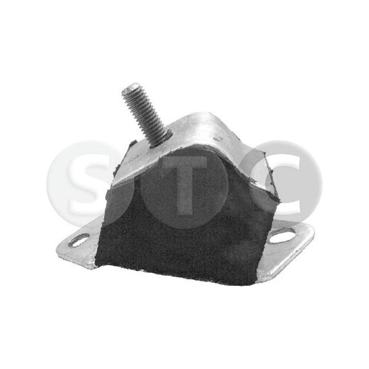 Variklio montavimas STC T400388