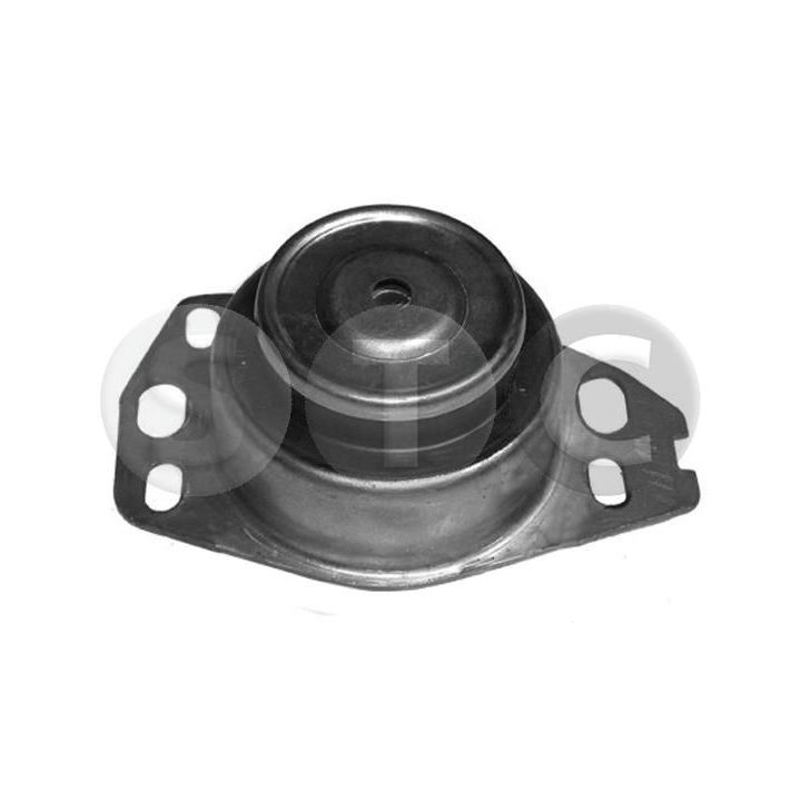 Variklio montavimas STC T400890