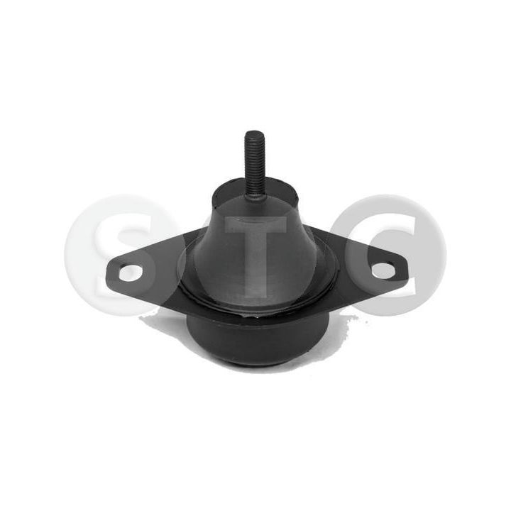 Variklio montavimas STC T400963