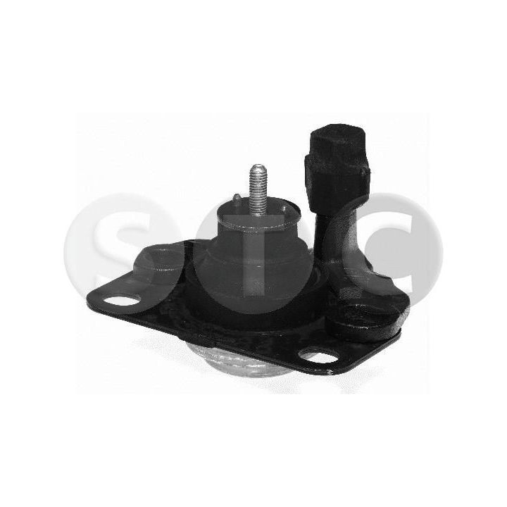 Variklio montavimas STC T400997