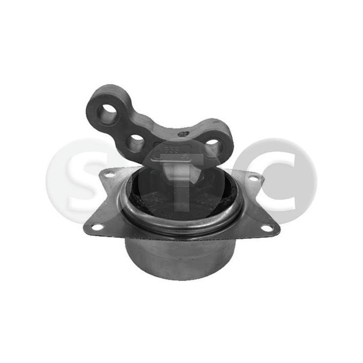 Variklio montavimas STC T401019