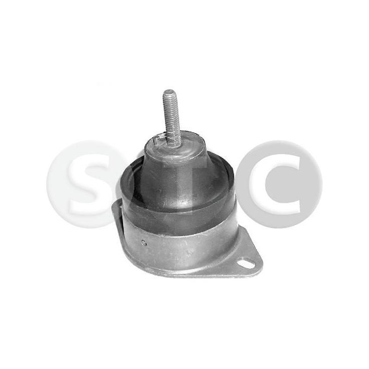 Variklio montavimas STC T402924