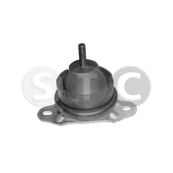 Variklio montavimas STC T402942