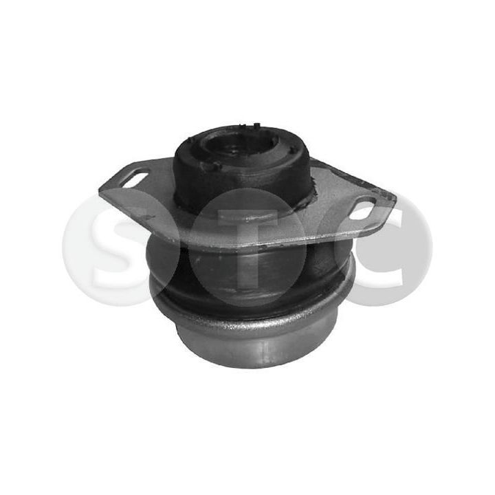 Variklio montavimas STC T402943