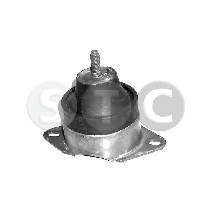 Variklio montavimas STC T402944