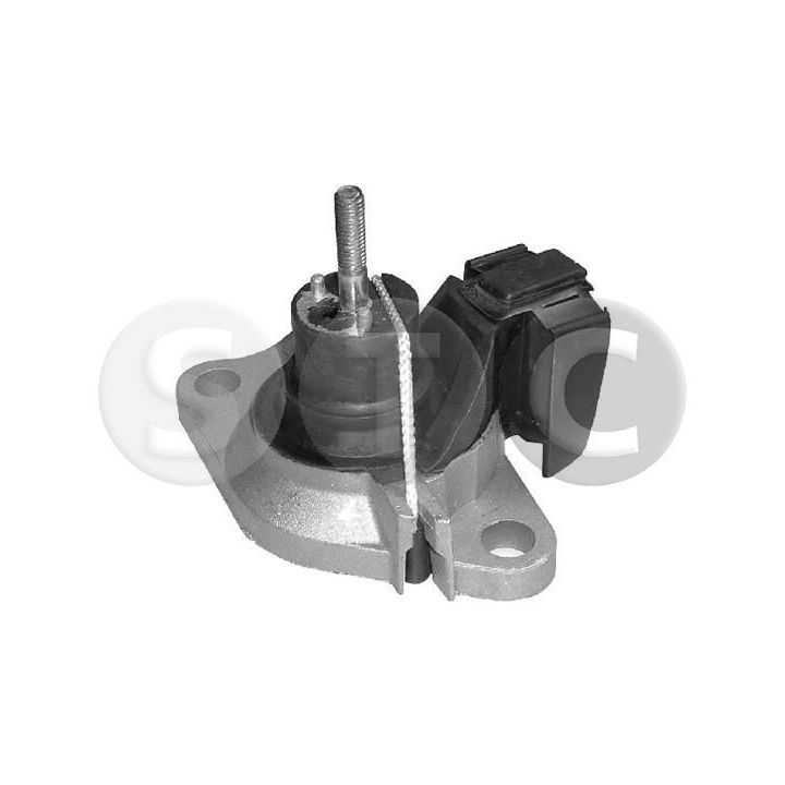 Variklio montavimas STC T404158