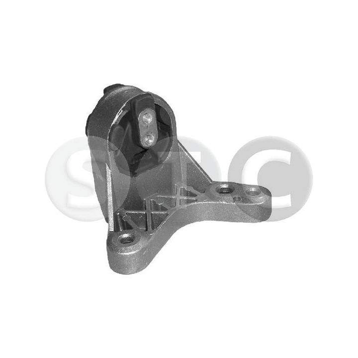 Variklio montavimas STC T404161