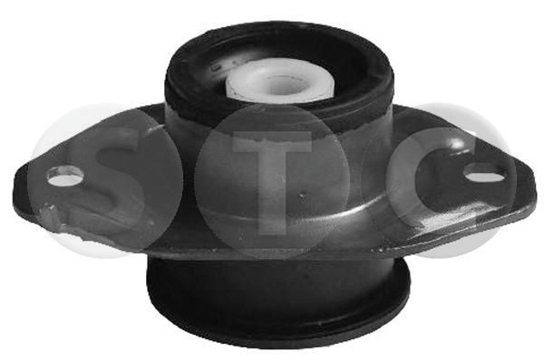 Variklio montavimas STC T404447