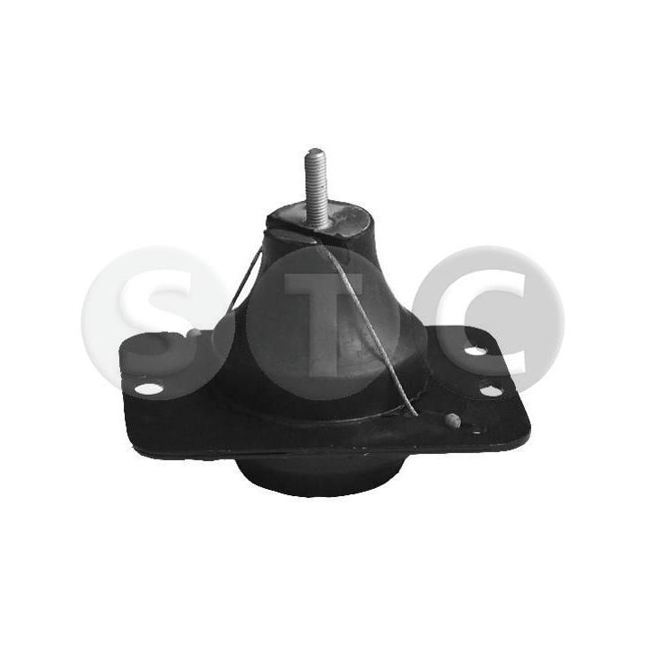 Variklio montavimas STC T404450