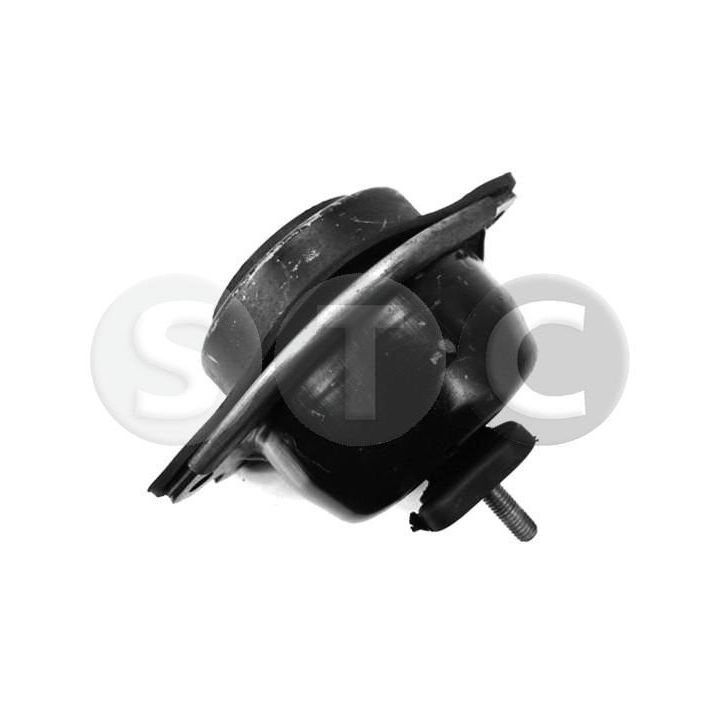 Variklio montavimas STC T404461