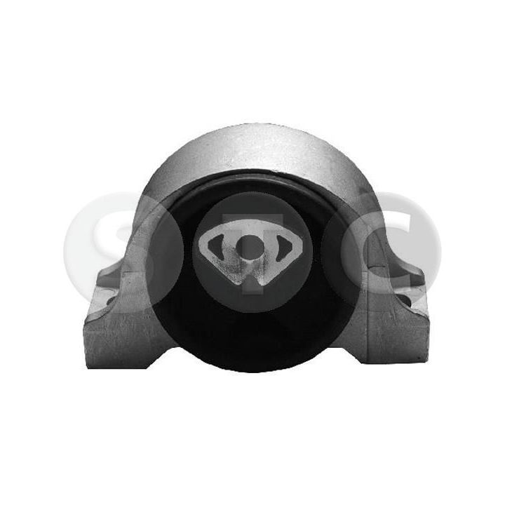 Variklio montavimas STC T404565