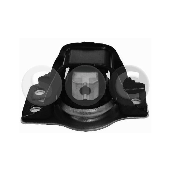 Variklio montavimas STC T404638