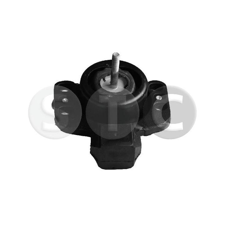 Variklio montavimas STC T404776