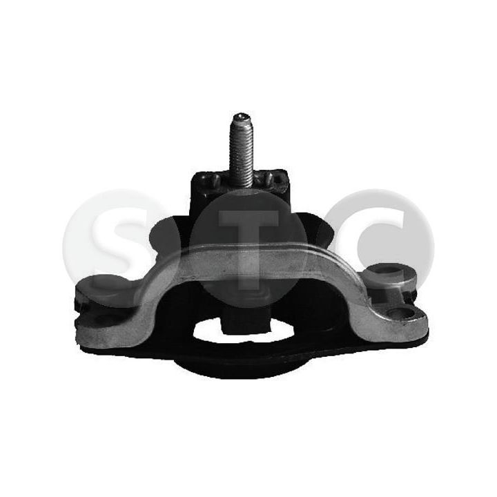 Variklio montavimas STC T404835