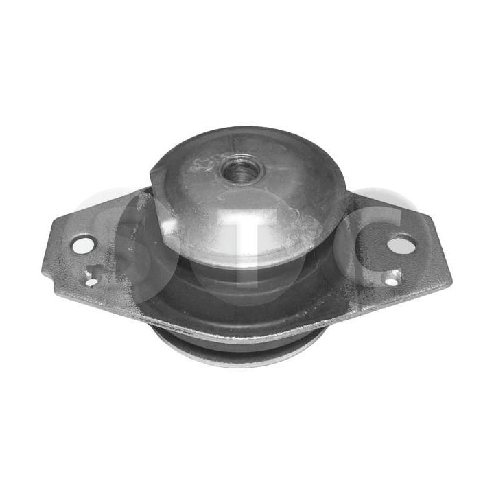 Variklio montavimas STC T405079