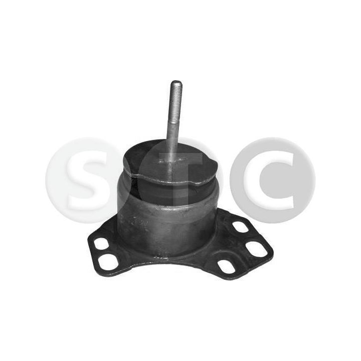 Variklio montavimas STC T405080