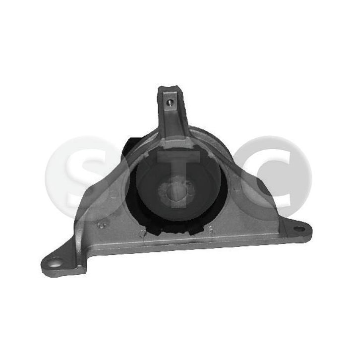 Variklio montavimas STC T405084