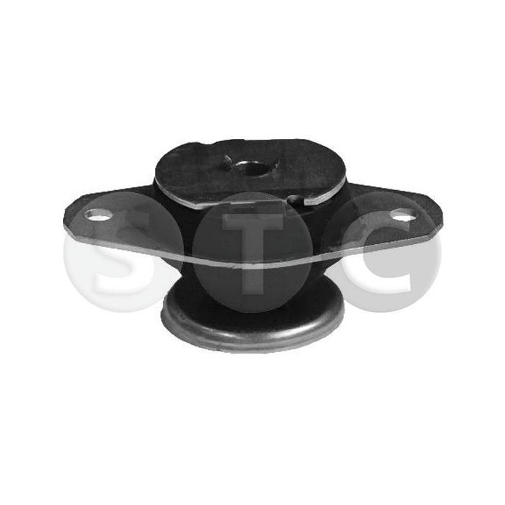 Variklio montavimas STC T405086