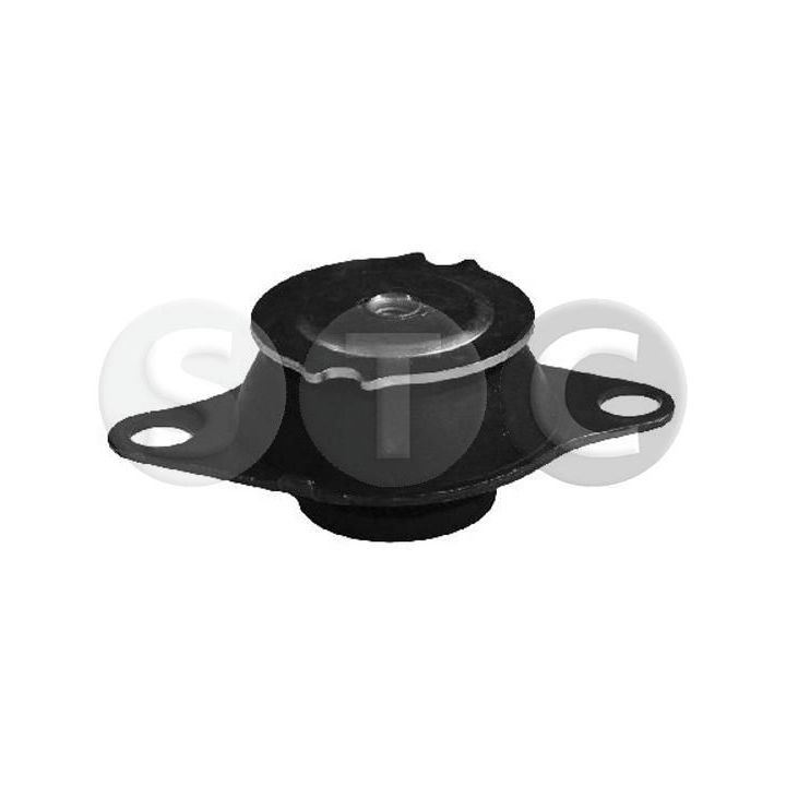 Variklio montavimas STC T405088