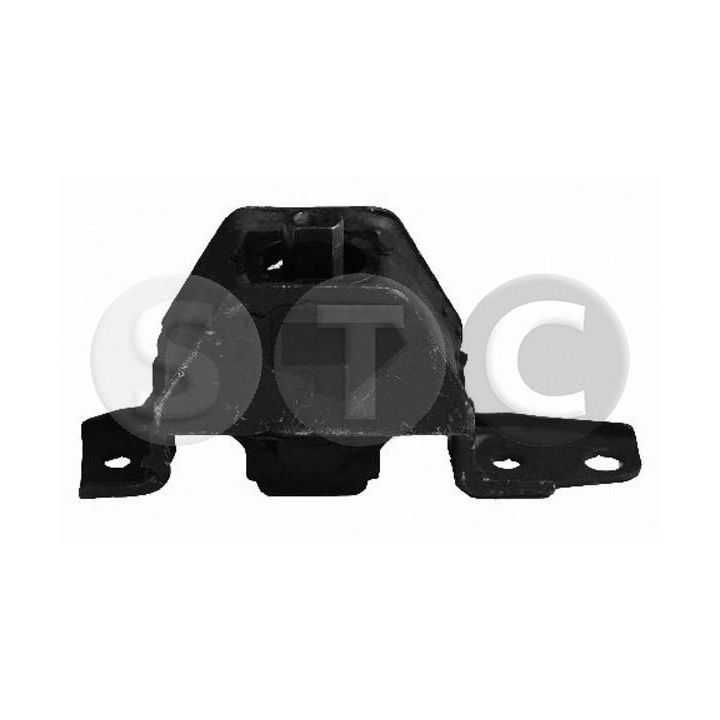 Variklio montavimas STC T405089