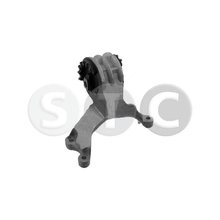 Variklio montavimas STC T405137