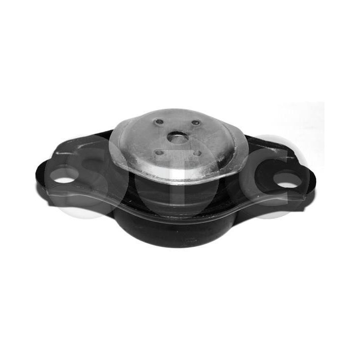 Variklio montavimas STC T405518