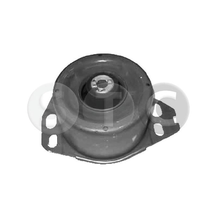 Variklio montavimas STC T405536