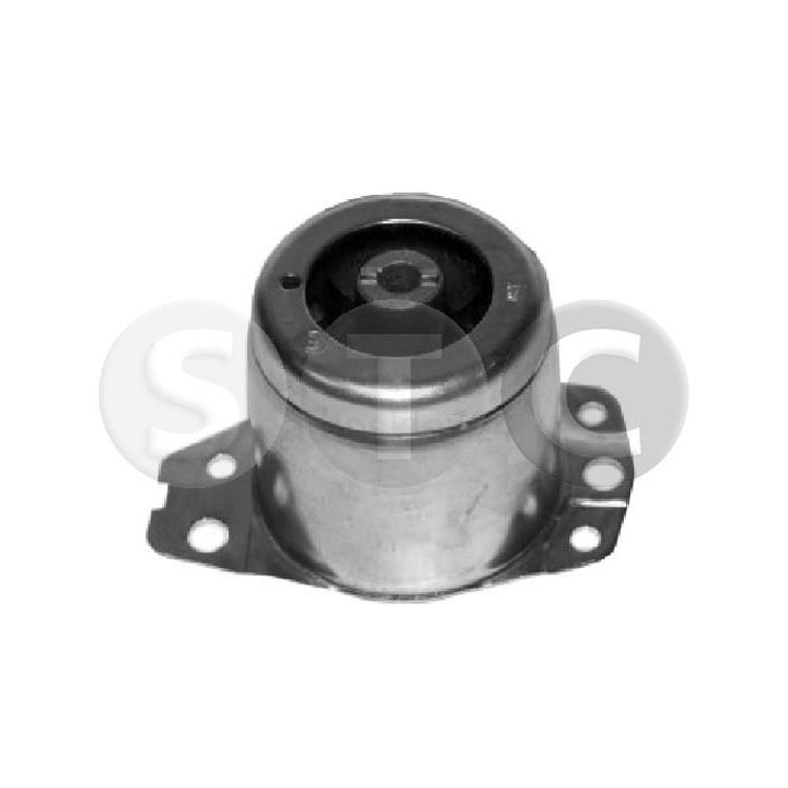 Variklio montavimas STC T405538