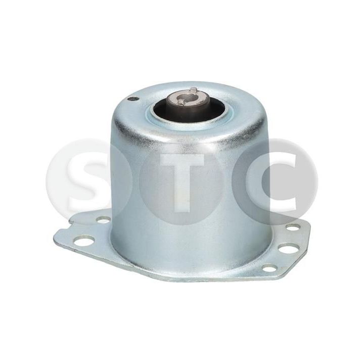 Variklio montavimas STC T405539