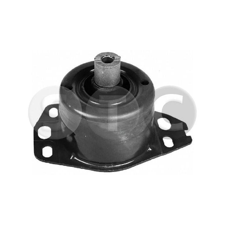 Variklio montavimas STC T405541