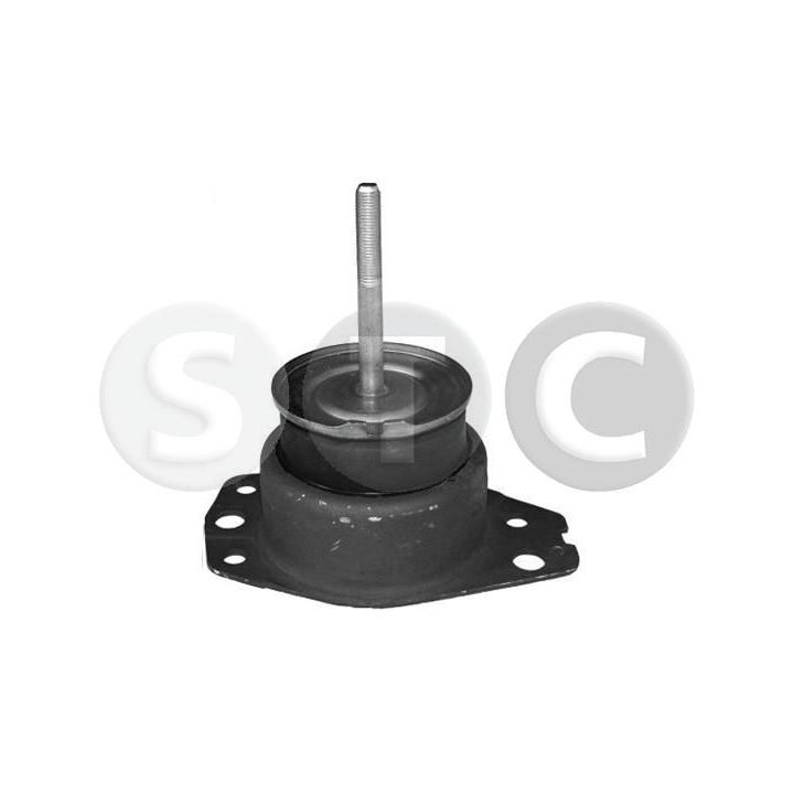 Variklio montavimas STC T405582